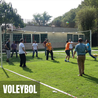 Voleybol