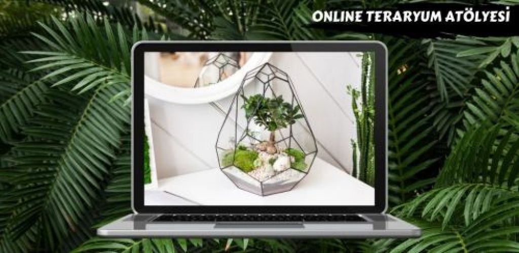 Online Özel Atölyeler
