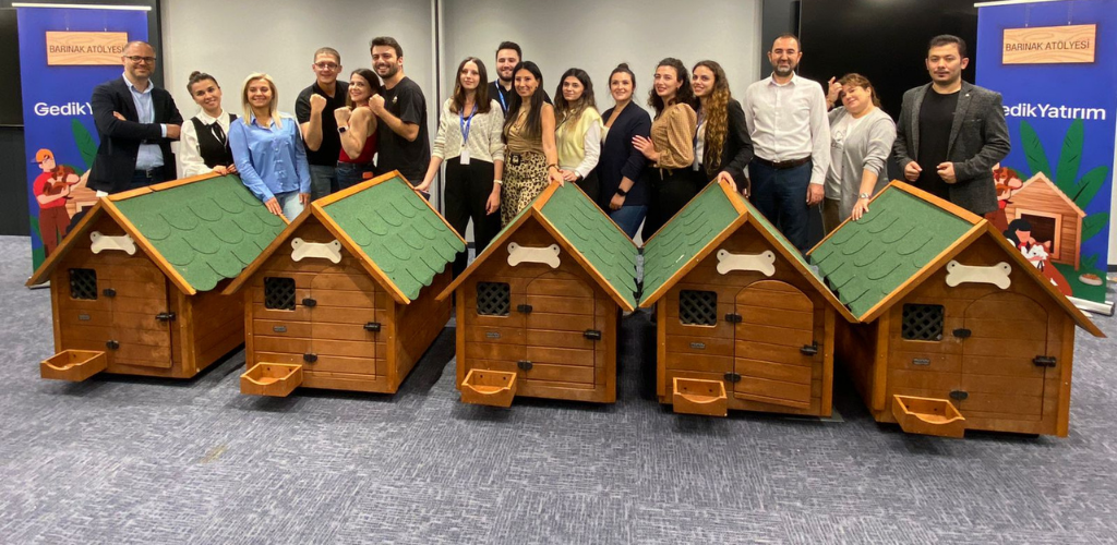 Shelter Workshop