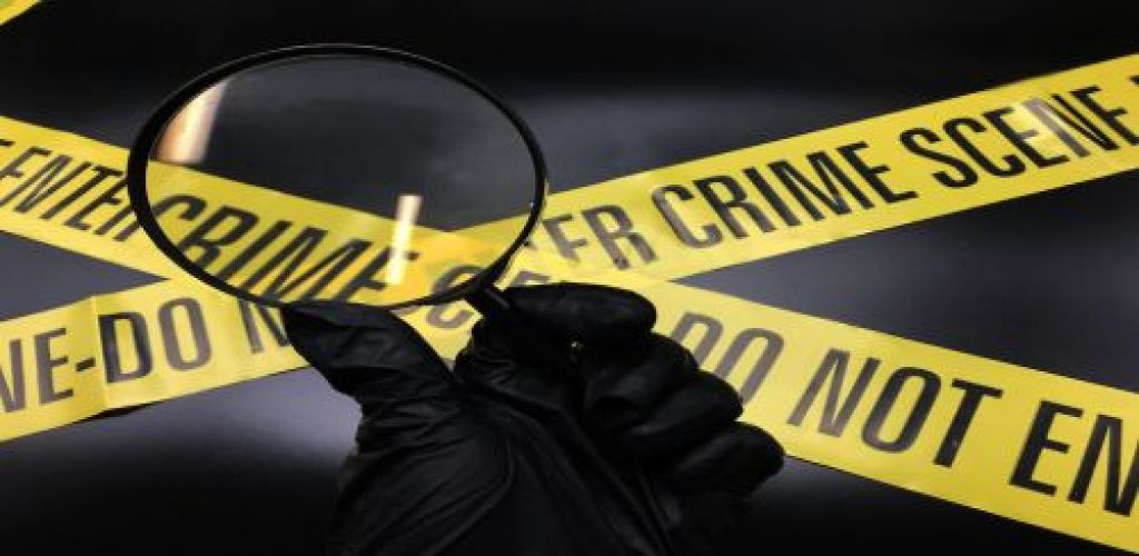 FBI Olay Yeri İnceleme / Takım Aktivitesi